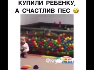 video from telegram